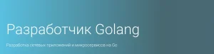 Постер товара: Разработчик Golang