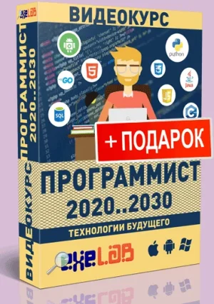 Постер товара: Видеокурс Программист 2020...2030