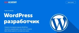 Постер товара: WordPress разработчик