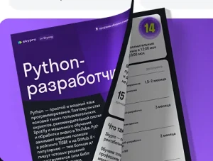 Постер товара: Python-разработчик с нуля