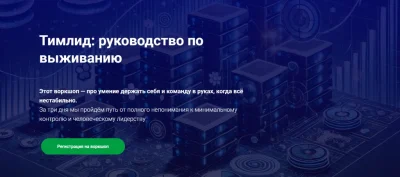 Изображение товара: Тимлид: руководство по выживанию
