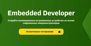 Постер товара: Embedded Developer